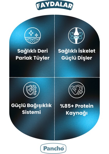 Pancho Kuzu Etli Yetişkin Köpek Maması 15KG fırsatları