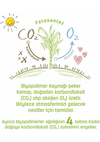 Nessiworld Sleepy Bio Natural Islak Havlu Mendil 3X40 120 Yaprak fırsatları