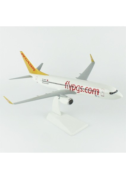 Pegasus 737-800 Yolcu Uçağı, 1/100 Ölçek, Sergilemeye Hazır Plastik Standlı Model