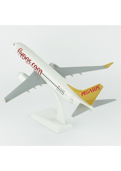 Pegasus 737-800 Yolcu Uçağı, 1/100 Ölçek, Sergilemeye Hazır Plastik Standlı Model fiyatları