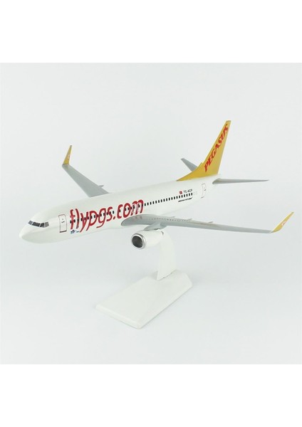 Pegasus 737-800 Yolcu Uçağı, 1/100 Ölçek, Sergilemeye Hazır Plastik Standlı Model modelleri