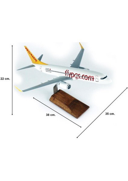 Pegasus B737-800 Yolcu Uçağı, 1/100 Ölçek, Sergilemeye Hazır Ahşap Standlı