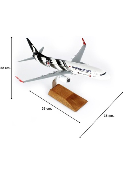 Thy Beşiktaş Logolu B737-800 Yolcu Uçağı, 1/100 Ölçek Sergilemeye Hazır Ahşap Standlı Model