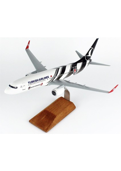 Thy Beşiktaş Logolu B737-800 Yolcu Uçağı, 1/100 Ölçek Sergilemeye Hazır Ahşap Standlı Model modelleri
