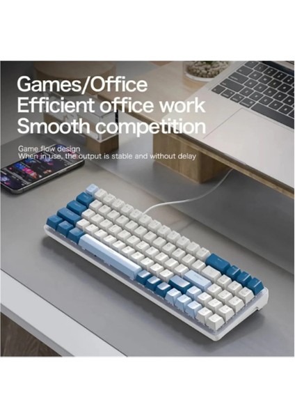 Oyuncu Klavyesi Gaming Mekanik 78 Tuşlu Rainbow Aydınlatmalı Hot-Swapp USB Tip-C Kablosu K65 modelleri
