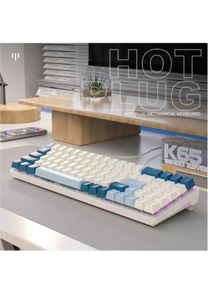 Oyuncu Klavyesi Gaming Mekanik 78 Tuşlu Rainbow Aydınlatmalı Hot-Swapp USB Tip-C Kablosu K65 indirimleri
