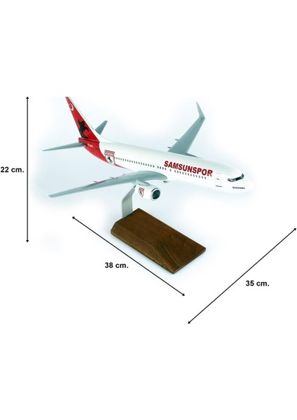 Thy Samsun Spor Logolu B737-800 Yolcu Uçağı, 1/100 Ölçek Sergilemeye Hazır Ahşap Standlı Model
