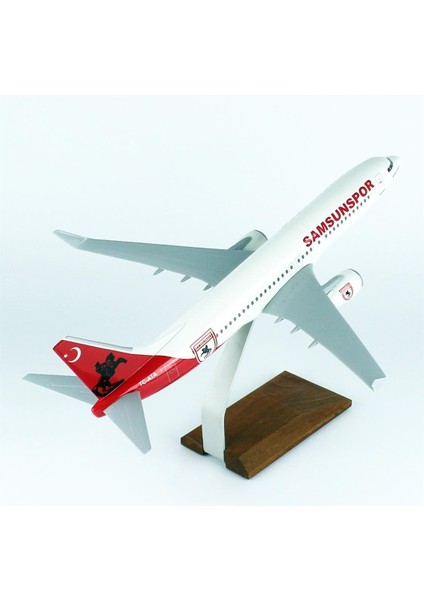 Thy Samsun Spor Logolu B737-800 Yolcu Uçağı, 1/100 Ölçek Sergilemeye Hazır Ahşap Standlı Model indirimleri