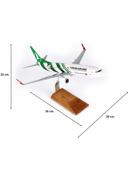 Thy Bursa Spor Logolu B737-800 Yolcu Uçağı 1/100 Ölçek Sergilemeye Hazır Ahşap Standlı Model