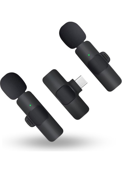 Büro Ev Ofis Hediyesi Için Usbc K9 Ikili Mikrofon