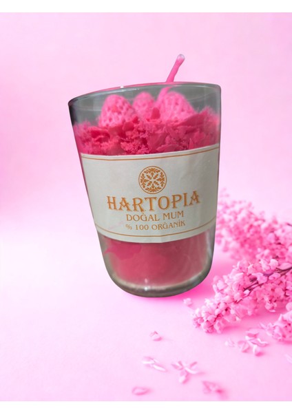 Hartopia-Doğal Mum Pembe Çilek Dekoru