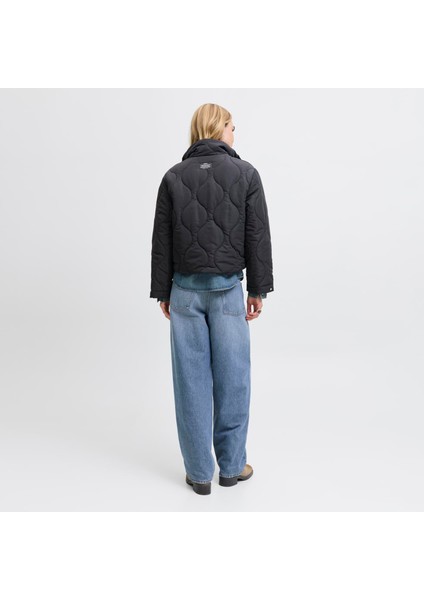 Kadin Dik Yaka Kapitone Ceket - Serena modelleri