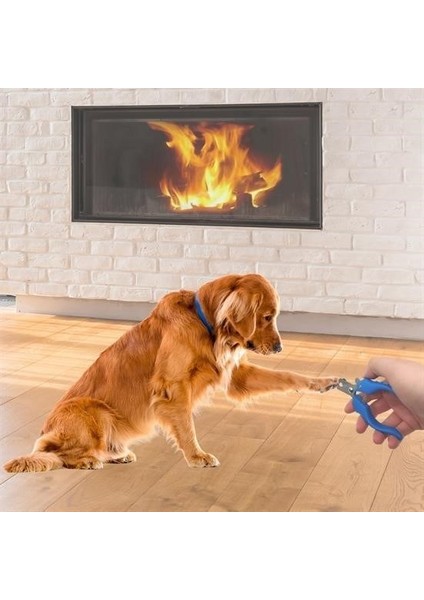 Buffer® Evcil Hayvan Kedi ve Köpek Paslanmaz Çelik Yaylı Tırnak Makası ve Düzeltme fiyatları
