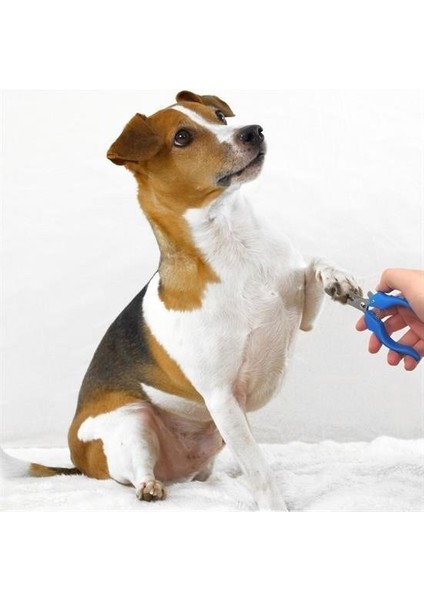 Buffer® Evcil Hayvan Kedi ve Köpek Paslanmaz Çelik Yaylı Tırnak Makası ve Düzeltme fırsatları