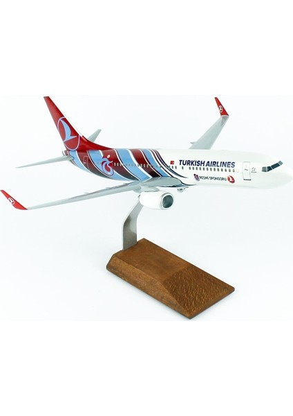 Thy Trabzon Spor Logolu B737-800 Yolcu Uçağı, 1/100 Ölçek Sergilemeye Hazır Ahşap Standlı Model modelleri