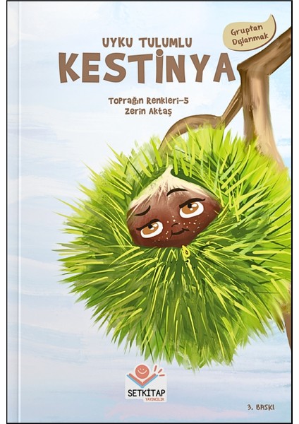 Kestinya - Toprağın Renkleri, Zerin Aktaş, 2.ve 3. Sınıf Okuma Kitapları, Yarışma Kitapları