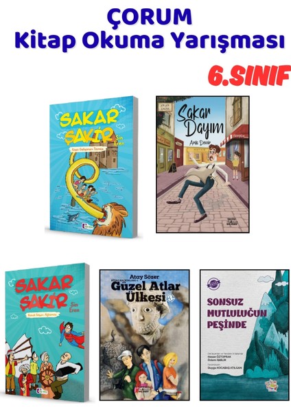 Çorum Kitap Okuma Yarışması 6.sınıf Kitapları, 5 Kitap Set, 6.sınıf Masal Öykü