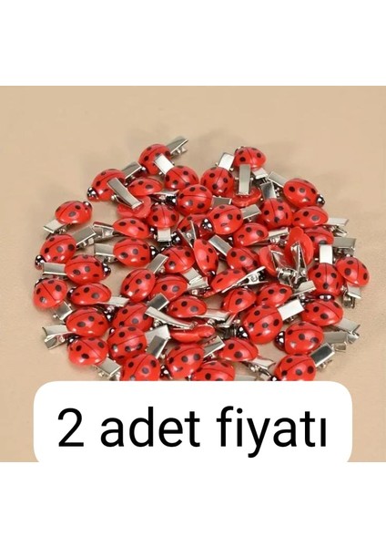 2 Li Ugur Böcegi Toka