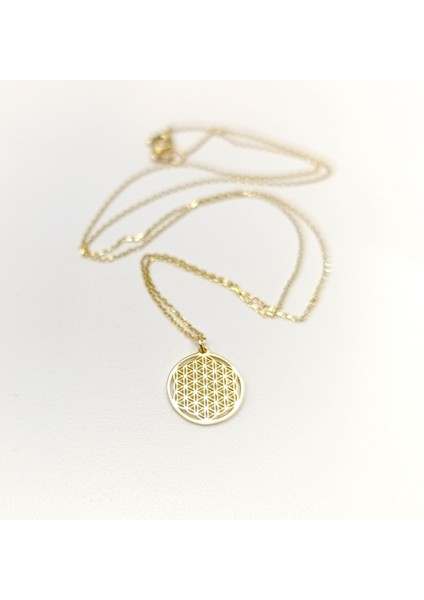 Yaşam Çiçeği Kolye 14 Ayar Altın Hd Videolu fiyatları