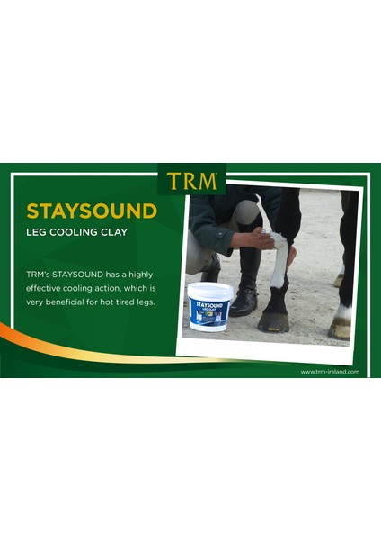 Trm Staysound Leg Clay 5 kg fiyatları