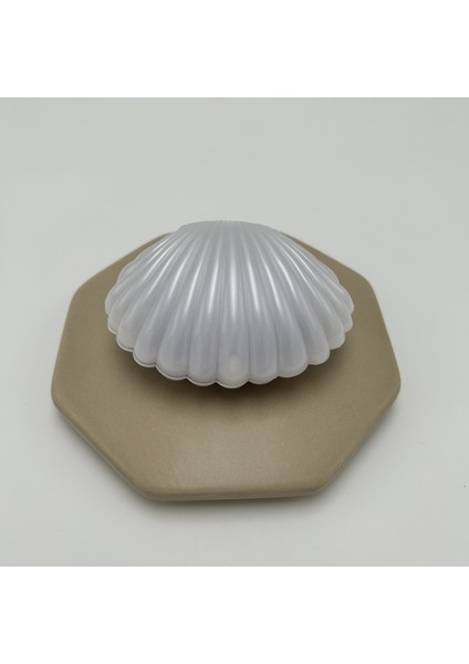 10 Adet Istiridye Kutulu Zikirmatik ve Tesbih Seti Hediyelik Mevlüt Umre Hac fiyatları