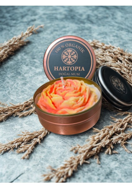 Hartopia-Doğal Mum Şakayık Çiçeği Teneke Kutu modelleri