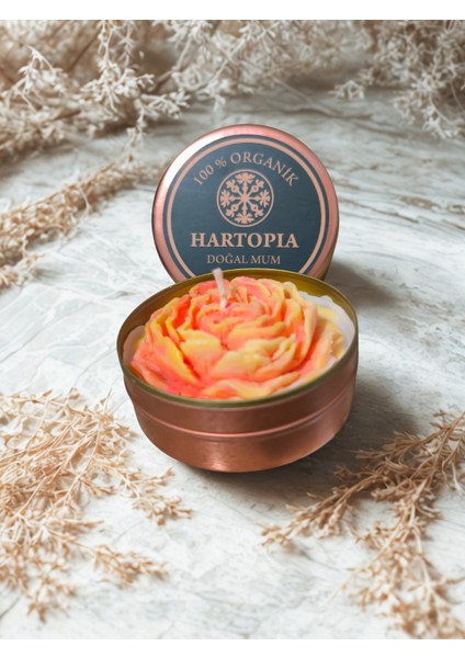 Hartopia-Doğal Mum Şakayık Çiçeği Teneke Kutu fırsatları
