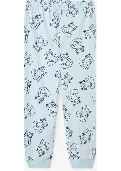 Erkek Çocuk Kirpi Desenli 2'li Pamuklu Pijama Takımı fırsatları