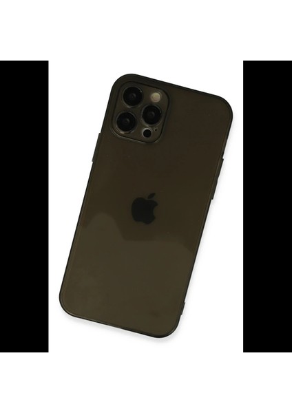 iPhone 12 Pro Kılıf Fly Lens Silikon modelleri