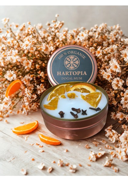 Hartopia-Doğal Mum Kuru Portakal ve Karanfil Dekorlu modelleri
