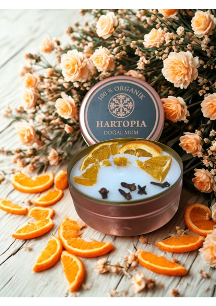 Hartopia-Doğal Mum Kuru Portakal ve Karanfil Dekorlu fırsatları