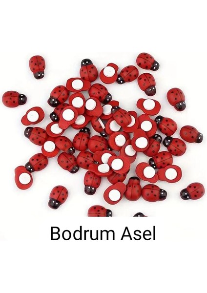 Böcek Fi fiyatları
