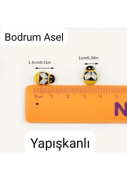 6 Adet Yapışkanlı Arı fiyatları