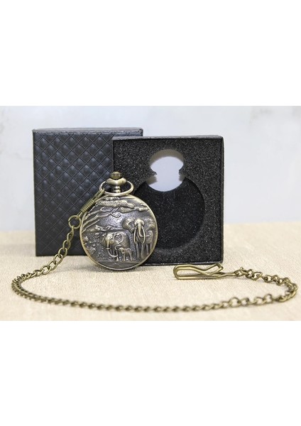 Kutulu Antik Filli Köstekli Saat ALK4676