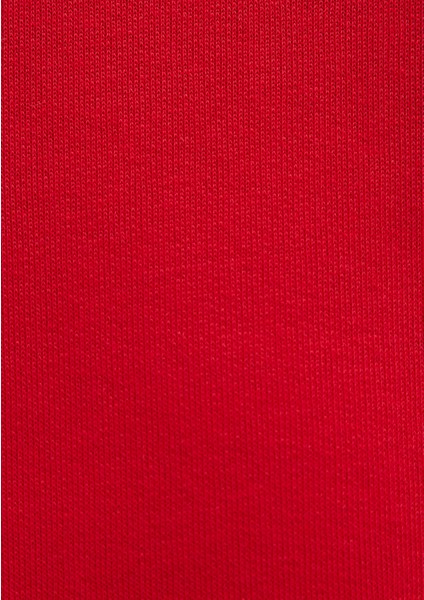 Mavi Logo Baskılı Kapüşonlu Kırmızı Sweatshirt 168334-35476