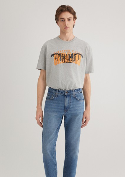 Gremlins Baskılı Gri Tişört 0612301-80196