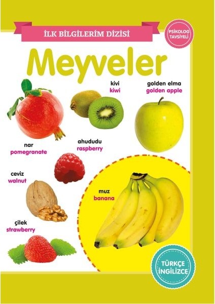 Meyveler - Ilk Bilgilerim Dizisi