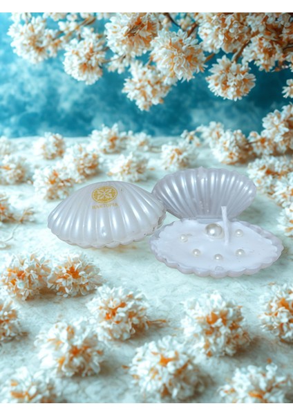 Hartopia-Doğal Soya Wax Mum Midye indirimleri
