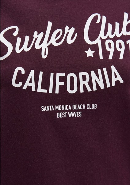 California Baskılı Mor Tişört 1613380-70434