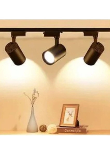 Mir LED Aydınlatma 30W 2700 Lm Siyah Kasa Beyaz Işık Ray Spot 8, Adet 1 Yıl Ürün Grantili modelleri