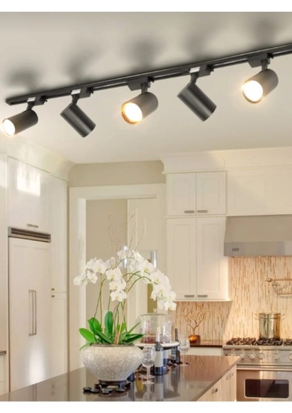 30W 2700 Lm Siyah Kasa Beyaz Işık Ray Spot 20ADE fiyatları