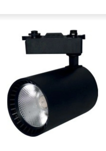 30W 2700 Lm Siyah Kasa Beyaz Işık Ray Spot 20ADE indirimleri