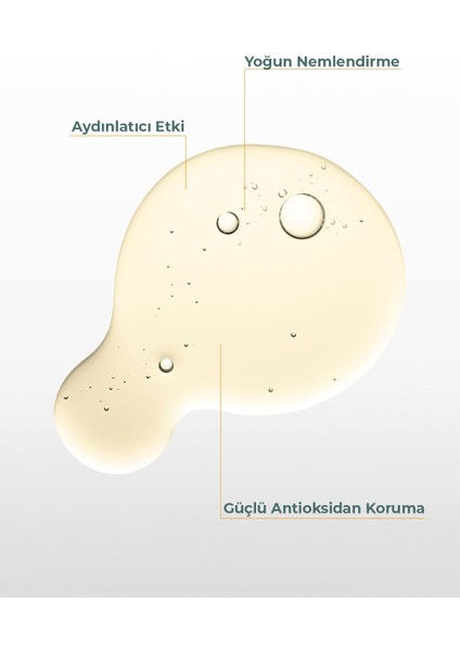 C Vitamini Ton Eşitleyici Bakım Serumu 30 ml (Ascorbic Acid 10% & Ferulic Acid 0,5%) modelleri