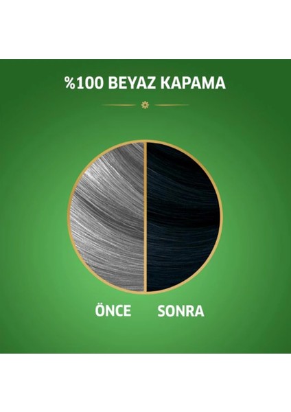Naturals Saç Boyası Böğürtlen Siyahı 2/8 2x Paket modelleri