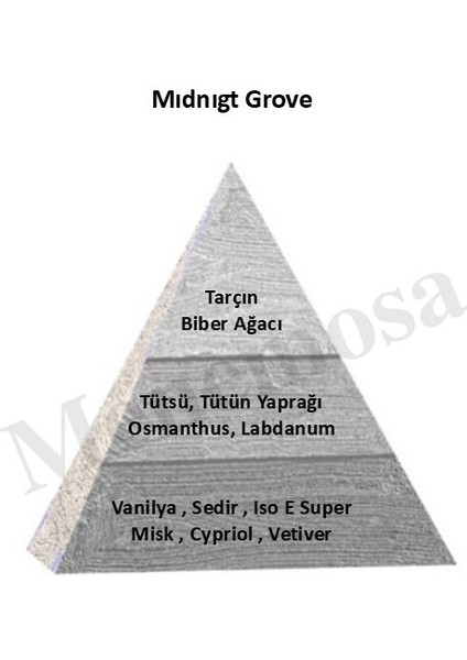 Mıdnıght Grove Unisex Parfüm Edp Woody - Mnmsmngrv fiyatları