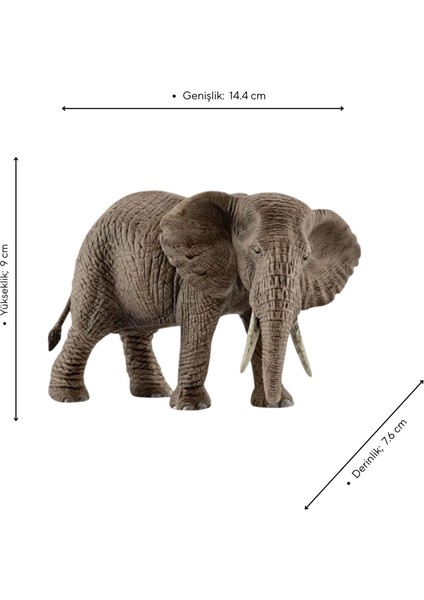 Schleich Afrika Fili Dişi modelleri