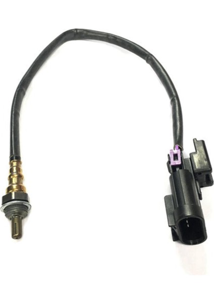 3x Oksijen O2 Sensör Polaris Için Uygun Rzr 570 1000 Xp Xp 4 1000 Turbo 4016021 4013979 (Yurt Dışından) fiyatları