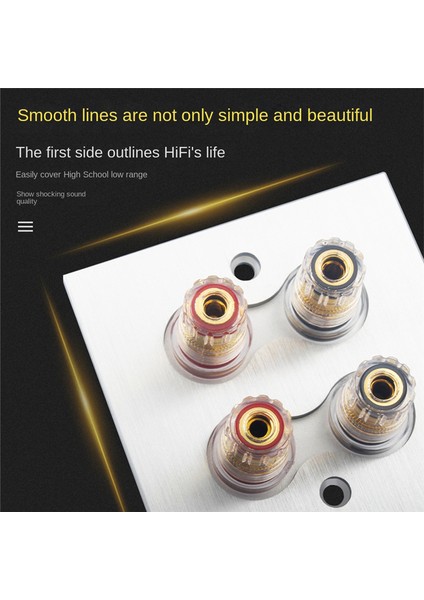 Hoparlörler Ev Sineması Için Muz Konektörü Tek Duvar Plakası (Yurt Dışından) fiyatları