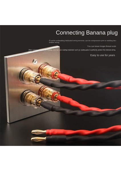 Hoparlörler Ev Sineması Için Muz Konektörü Tek Duvar Plakası (Yurt Dışından) modelleri