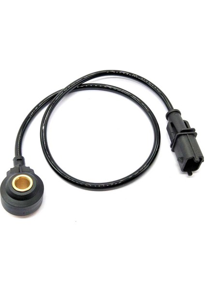 D-Ragon Seo Doo Gtx Için Patlama Knock Sensor 0261231155 4 H-Arley D-Avidson 0261 231 155 (Yurt Dışından)